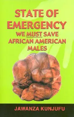 Stare de urgență: Trebuie să salvăm bărbații afro-americani - State of Emergency: We Must Save African American Males