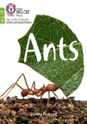 Furnicile - Faza 4 Set 2 - Ants - Phase 4 Set 2