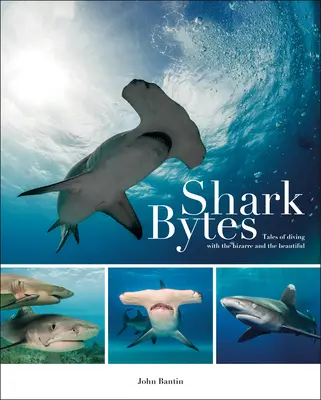 Shark Bytes: Povești de scufundări cu cele mai bizare și mai frumoase - Shark Bytes: Tales of Diving with the Bizarre and the Beautiful