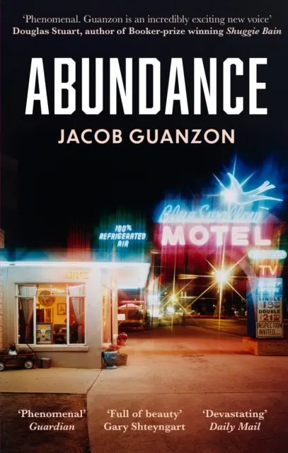 Abundență - Ficțiune de nerefuzat și sfâșietoare despre maturizare, despre tați și fii - Abundance - Unputdownable and heartbreaking coming-of-age fiction about fathers and sons