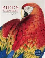 Birds - The Art of Ornithology (Set la cutie) - Birds - The Art of Ornithology (Boxed Set)