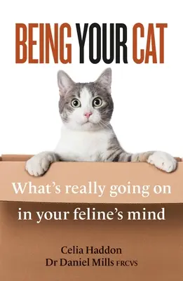 Being Your Cat: What's Really Going On in Your Feline's Mind - Being Your Cat: What's Really Going on in Your Feline's Mind