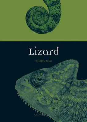 Șopârlă - Lizard