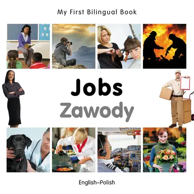 Locuri de muncă/Zawody - Jobs/Zawody