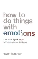 Cum să faci lucruri cu emoții: Moralitatea furiei și a rușinii în cadrul culturilor - How to Do Things with Emotions: The Morality of Anger and Shame Across Cultures