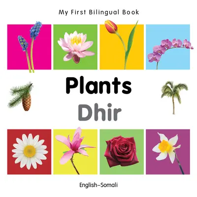 Prima mea carte bilingvă-Plants (engleză-somaleză) - My First Bilingual Book-Plants (English-Somali)