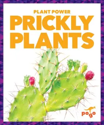 Plante picante - Prickly Plants