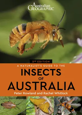 Ghidul naturalistului pentru insectele din Australia (A Naturalist's Guide to the Insects of Australia) - A Naturalist's Guide to the Insects of Australia