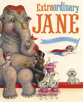 Jane extraordinară - Extraordinary Jane