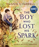 Băiatul care și-a pierdut scânteia - Boy Who Lost His Spark