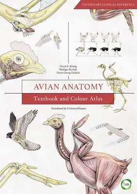 Anatomie aviară: Manual și Atlas color - Avian Anatomy: Textbook and Colour Atlas