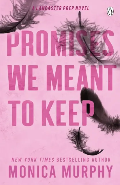 Promisiuni pe care am vrut să le ținem - Senzația TikTok emoționantă și demnă de leșin - Promises We Meant To Keep - The emotionally gripping and swoon-worthy TikTok sensation