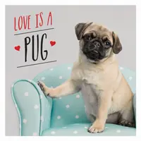 Love is a Pug - O celebrare pugtastică a celor mai drăguți câini din lume - Love is a Pug - A Pugtastic Celebration of The World's Cutest Dogs
