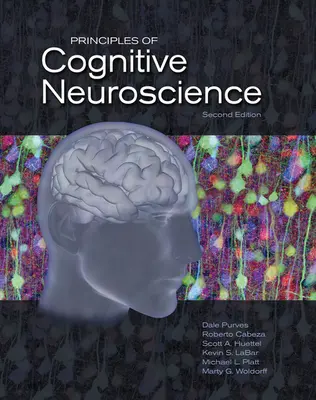Principii de neuroștiință cognitivă - Principles of Cognitive Neuroscience