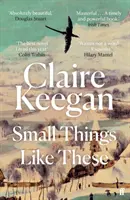 Small Things Like These - Pe lista scurtă pentru Booker Prize 2022 - Small Things Like These - Shortlisted for the Booker Prize 2022