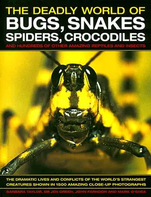 Lumea mortală a gândacilor, șerpilor, păianjenilor, crocodililor: Și sute de alte reptile și insecte uimitoare - The Deadly World of Bugs, Snakes, Spiders, Crocodiles: And Hundreds of Other Amazing Reptiles and Insects