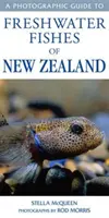Ghid fotografic pentru peștii de apă dulce din Noua Zeelandă - Photographic Guide To Freshwater Fishes Of New Zealand