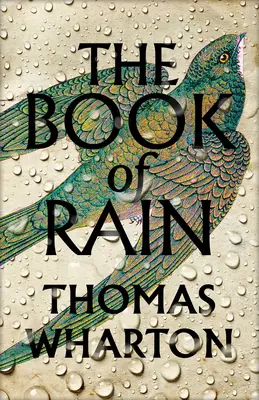 Cartea ploii - Book of Rain