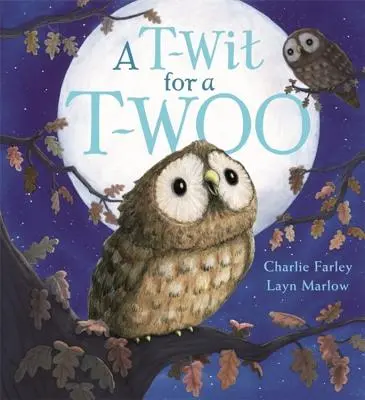 Un T-Wit pentru un T-Woo - A T-Wit for a T-Woo