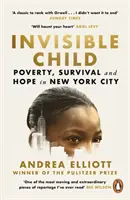 Invisible Child - Câștigătorul Premiului Pulitzer pentru non-ficțiune 2022 - Invisible Child - Winner of the Pulitzer Prize in Nonfiction 2022