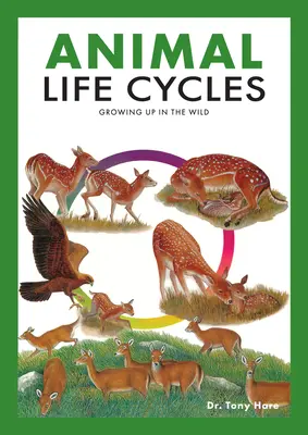 Ciclurile de viață ale animalelor: Descoperirea modului în care animalele trăiesc în sălbăticie - Animal Life Cycles: Discovering How Animals Live in the Wild