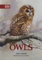Bufnițele - Owls