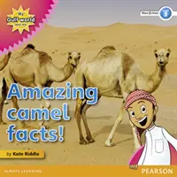 Lectorul de non-ficțiune Lumea mea din Golf și eu Nivelul 3: Informații uimitoare despre cămile! - My Gulf World and Me Level 3 non-fiction reader: Amazing camel facts!