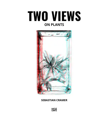 Sebastian Cramer: Două puncte de vedere - Sebastian Cramer: Two Views
