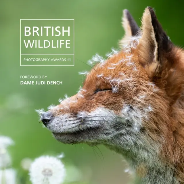 Premiile British Wildlife Photography 2023 - British Wildlife Photography Awards 2023