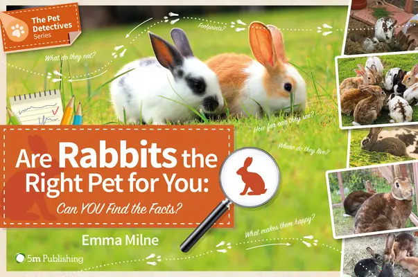 Sunt iepurii animalul de companie potrivit pentru dvs: Puteți afla adevărul? - Are Rabbits the Right Pet for You: Can You Find the Facts?
