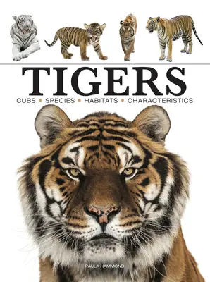 Tigrii - Tigers
