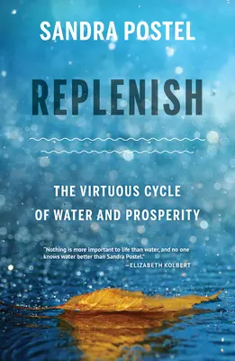 Replenish: Ciclul virtuos al apei și al prosperității - Replenish: The Virtuous Cycle of Water and Prosperity