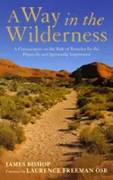 Way in the Wilderness - A Commentary on the Rule of Benedict for the Physically and Spiritually Imprisoned