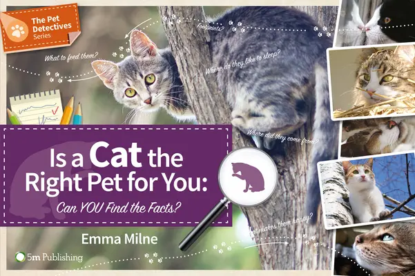 Este o pisică animalul de companie potrivit pentru dvs: Puteți afla faptele? - Is a Cat the Right Pet for You: Can You Find the Facts?
