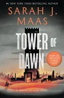 Tower of Dawn - De la autorul bestsellerului Sunday Times # 1 A Court of Thorns and Roses - Tower of Dawn - From the # 1 Sunday Times best-selling author of A Court of Thorns and Roses