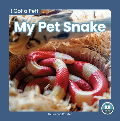 Șarpele meu de companie - My Pet Snake