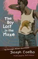 Boy Lost in the Maze (Băiatul pierdut în labirint) - Boy Lost in the Maze