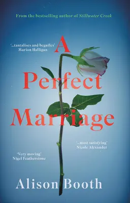 Căsătoria perfectă - Perfect Marriage
