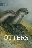 Vidre - Otters