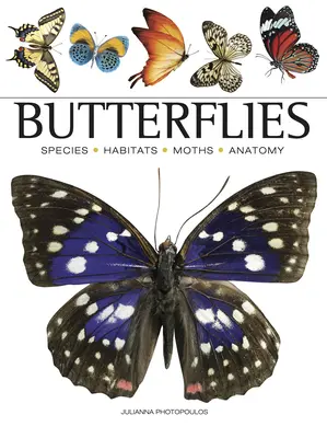 Fluturi - Butterflies