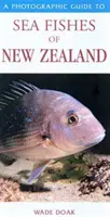 Ghid fotografic pentru peștii de mare din Noua Zeelandă - Photographic Guide To Sea Fishes Of New Zealand