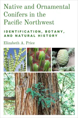 Conifere native și ornamentale în nord-vestul Pacificului: Identificare, botanică și istorie naturală - Native and Ornamental Conifers in the Pacific Northwest: Identification, Botany and Natural History