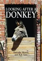 În grija unui măgar - Looking After a Donkey