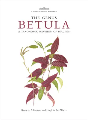 Genul Betula: O revizuire taxonomică a mestecenilor - The Genus Betula: A Taxonomic Revision of Birches