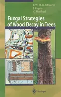Strategii fungice de putrezire a lemnului în copaci - Fungal Strategies of Wood Decay in Trees