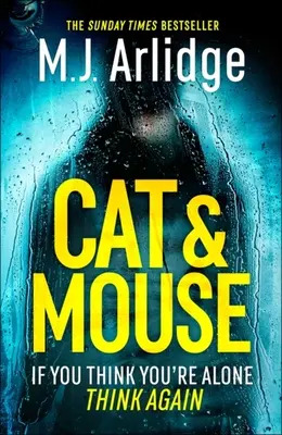 Pisica și șoarecele - Cat and Mouse
