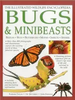 Enciclopedia ilustrată a vieții sălbatice: Insecte și minibeaste - Illustrated Wildlife Encyclopedia: Bugs & Minibeasts