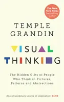 Gândirea vizuală - Darurile ascunse ale oamenilor care gândesc în imagini, modele și abstracțiuni - Visual Thinking - The Hidden Gifts of People Who Think in Pictures, Patterns and Abstractions