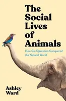 Social Lives of Animals - Cum a cucerit cooperarea lumea naturală - Social Lives of Animals - How Co-operation Conquered the Natural World