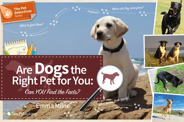 Sunt câinii animalul de companie potrivit pentru dvs: Puteți afla faptele? - Are Dogs the Right Pet for You: Can You Find the Facts?